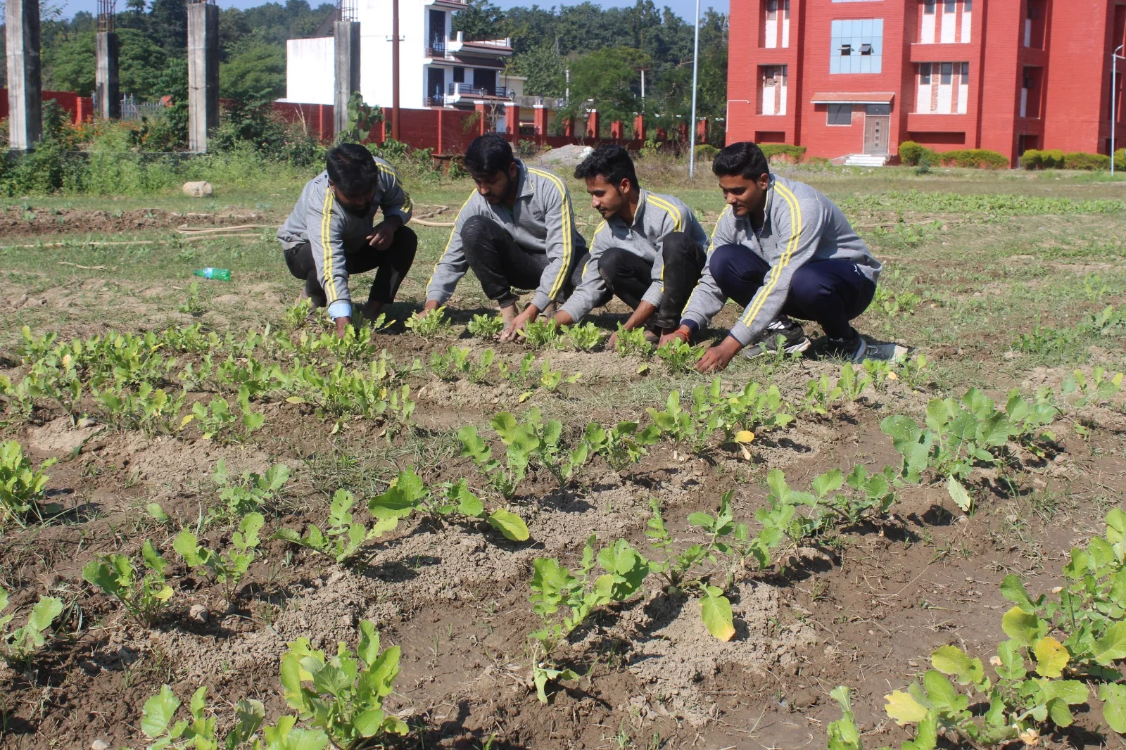 Agriculture Images