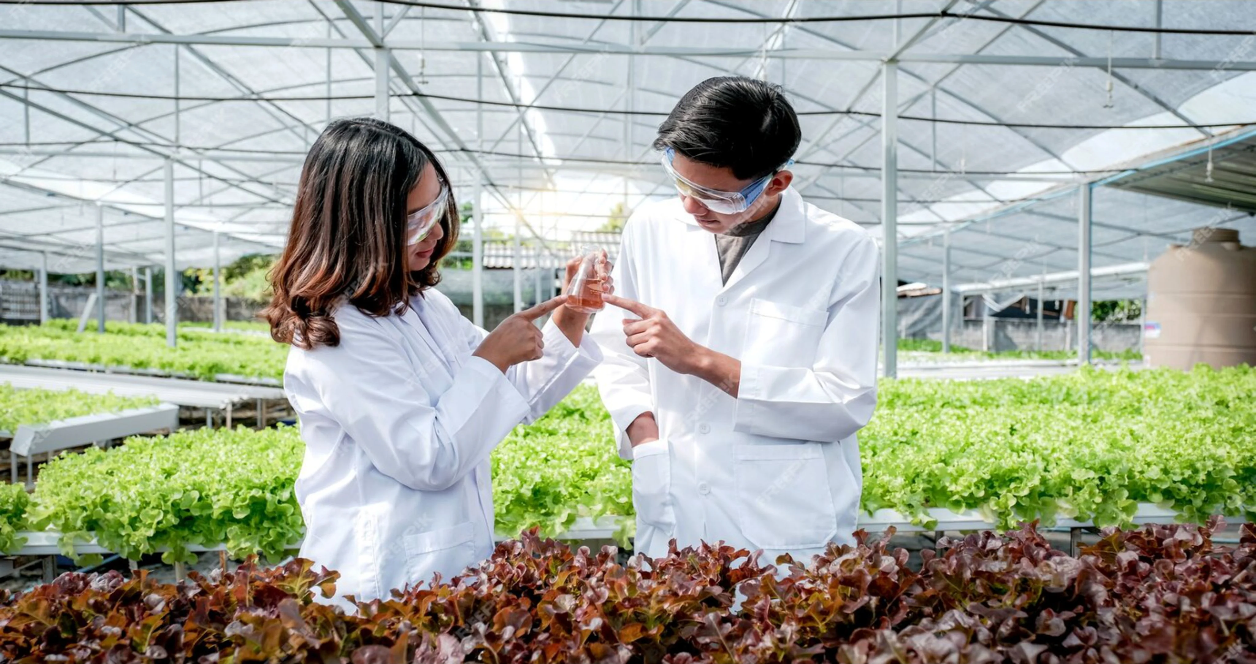 Botany Laboratory