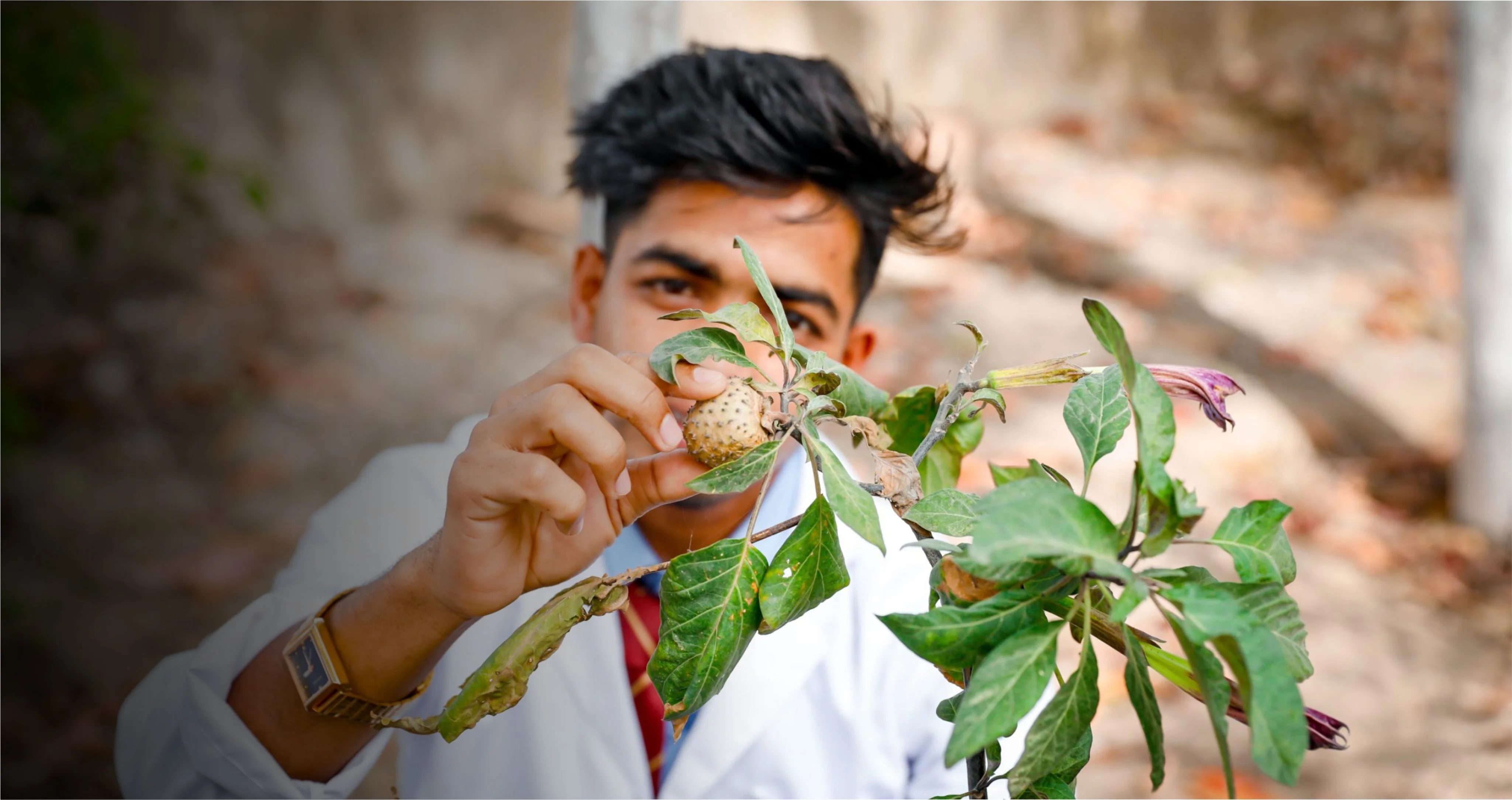 Botany Research